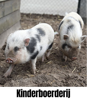 kinderboerderij