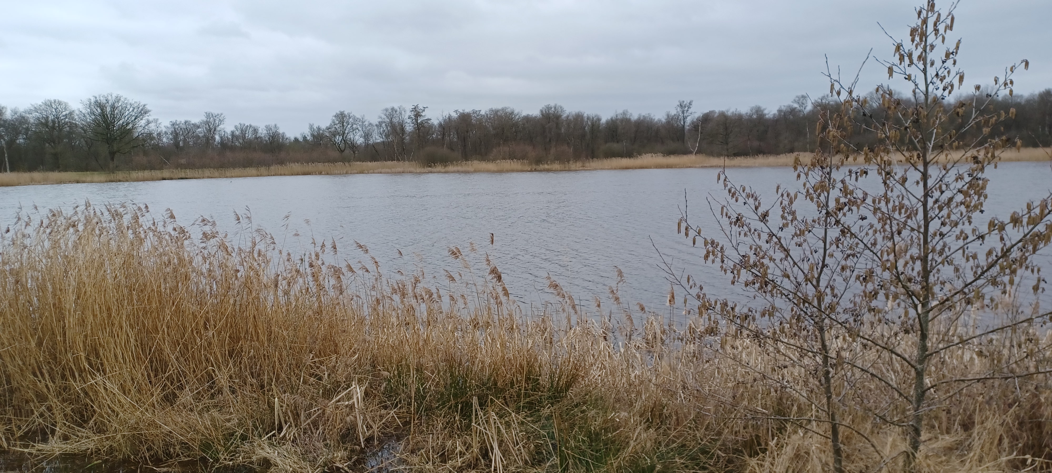 landgoed de grote scheere